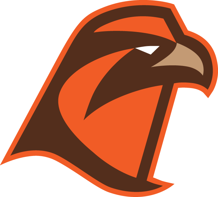 Bowling Green Falcons 2006-Pres Secondary Logo 03 iron on paper